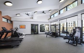 Fitness center and yoga studio